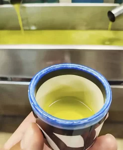 Freshly pressed olive oil sample in tasting cup at olive mill.